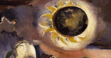 Eclipsa de Soare din 30 aprilie 2022 și turbulenta ei familie, Saros 119